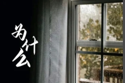 企业为什么要委托三方做战略管理咨询？