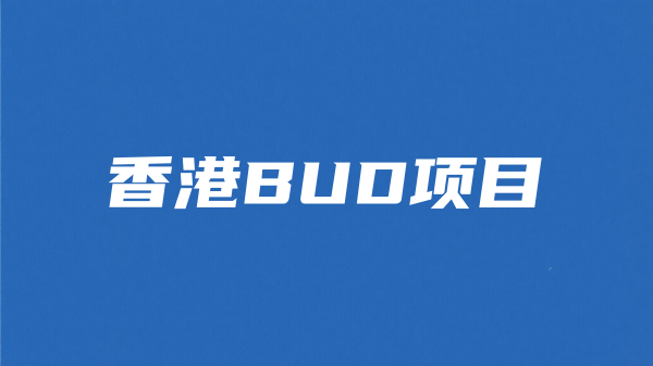 香港BUD项目.png