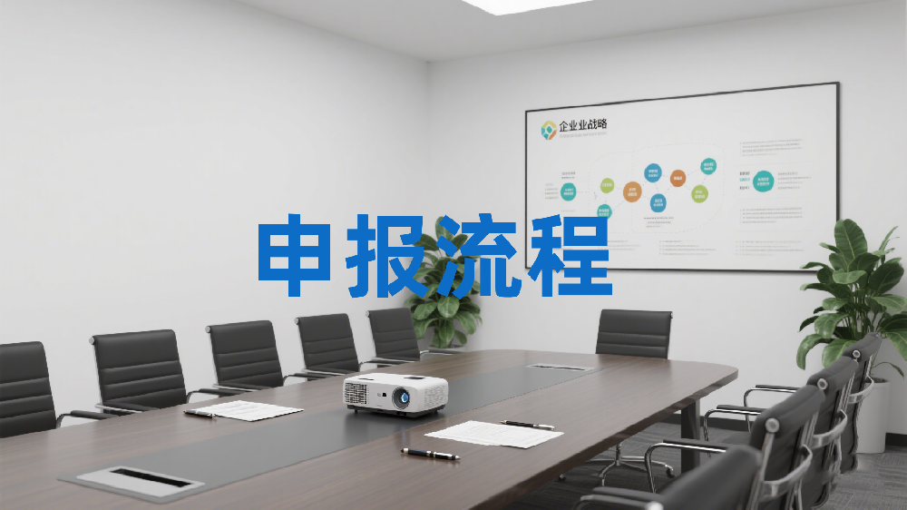 申报流程.png